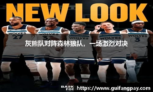 灰熊队对阵森林狼队，一场激烈对决